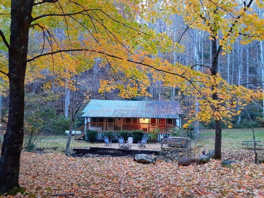 Creekside 1920'S Farmhouse Villa Bryson City Exterior photo